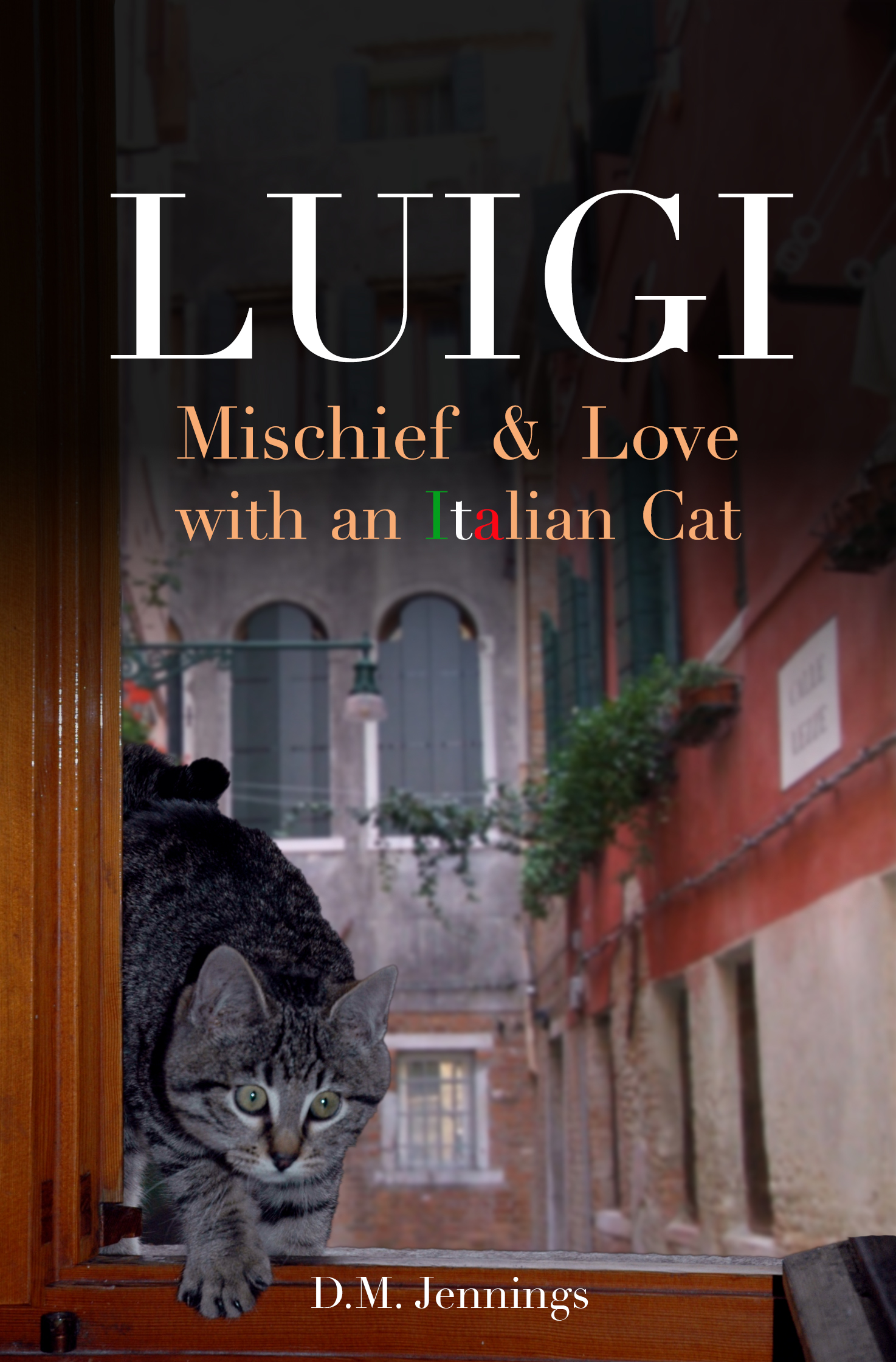 Luigi Book Cover
