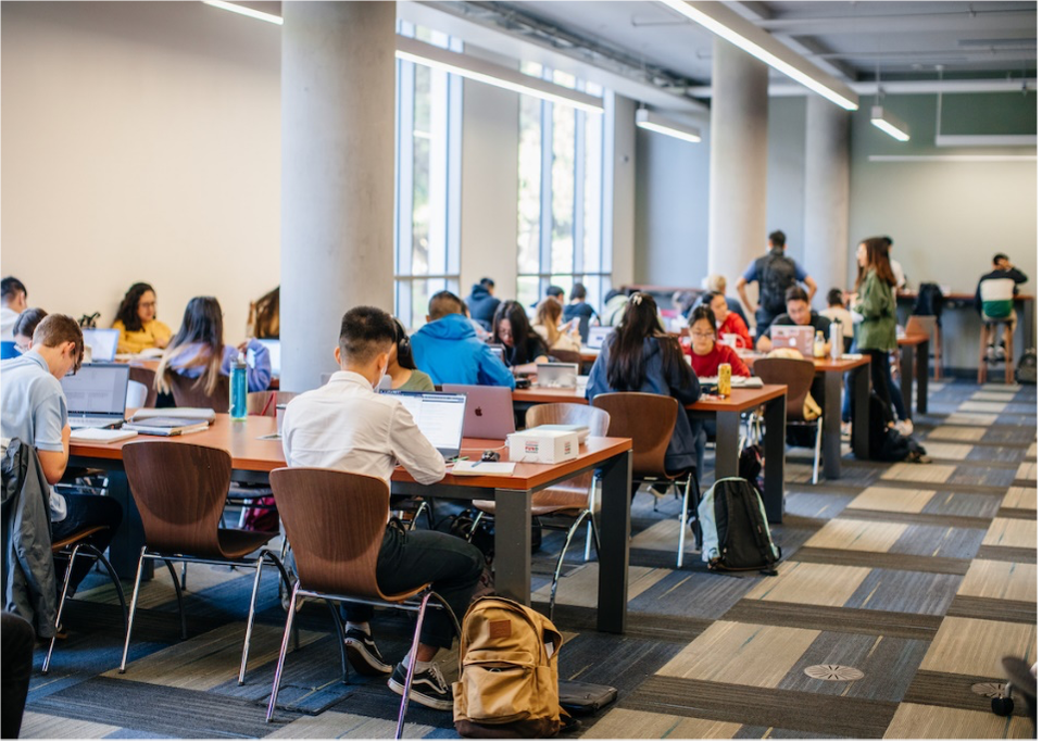 Students studying at the library