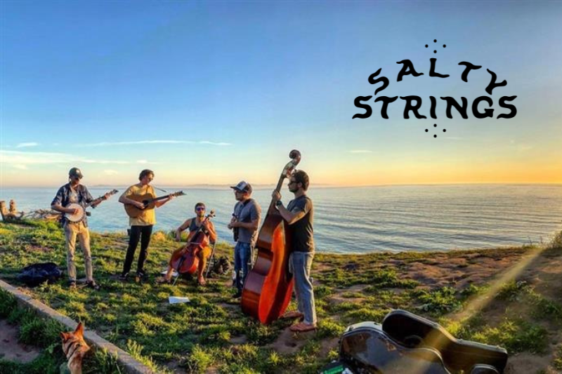 Members of Salty Strings performing outdoors near the ocean.