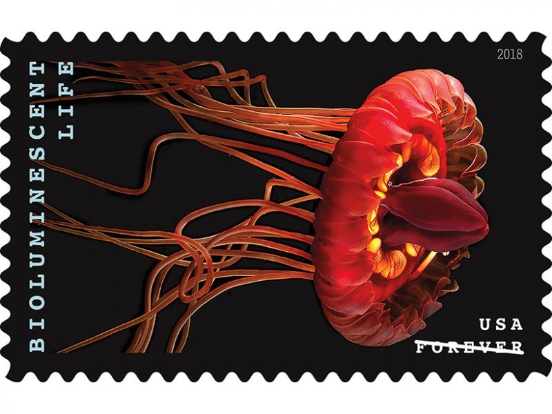 crown-jellyfish-bioluminescent-organism-usps-stamp