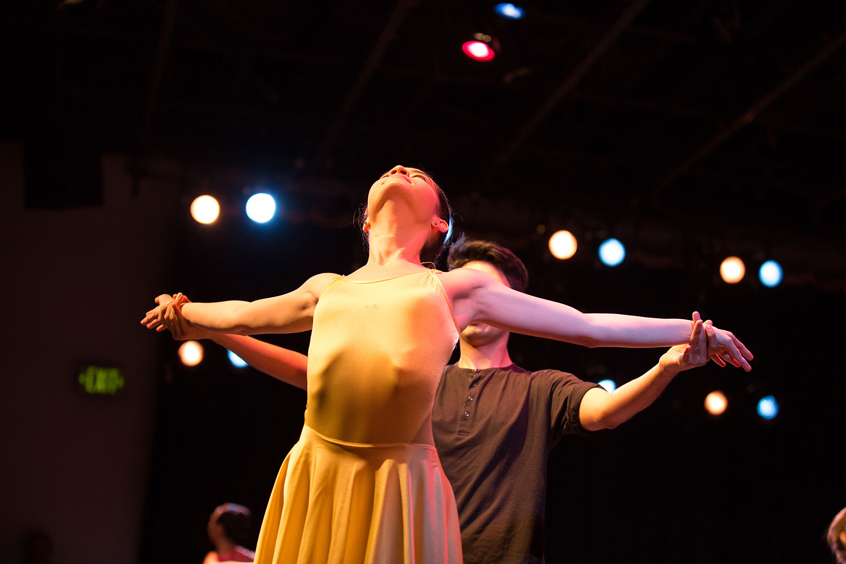 A pair of brightly colored dancers.