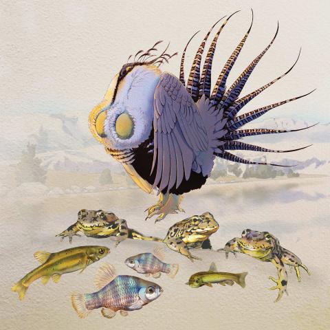 Cover photo: Fish Illustration