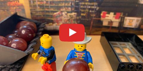 UCSB Alumni Day of Service