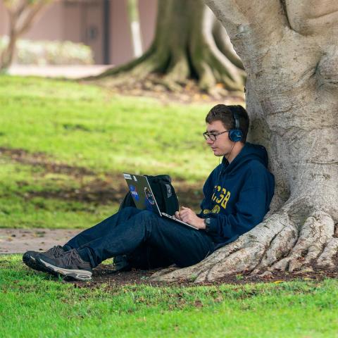 Boy on laptop under tree
